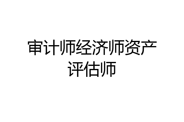 审计师经济师资产评估师