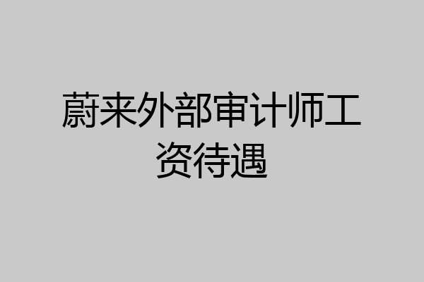 蔚来外部审计师工资待遇