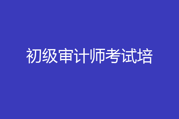 初级审计师考试培