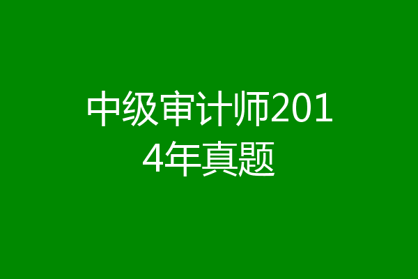 中级审计师2014年真题