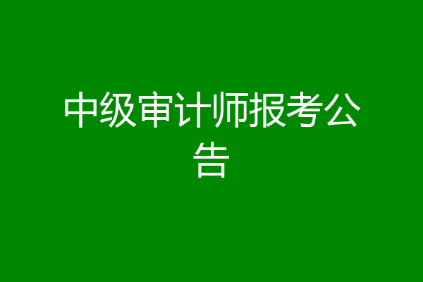 中级审计师报考公告