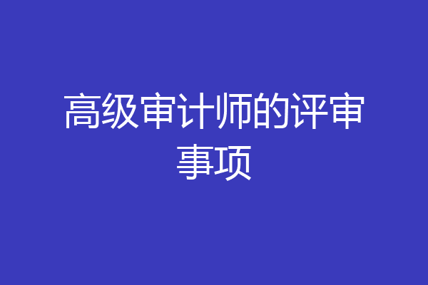 高级审计师的评审事项