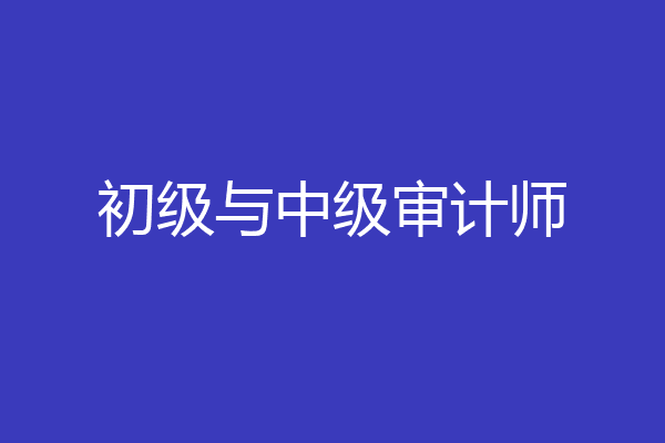 初级与中级审计师