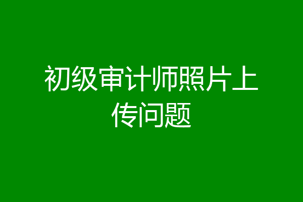 初级审计师照片上传问题