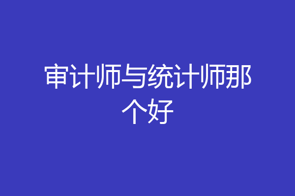 审计师与统计师那个好
