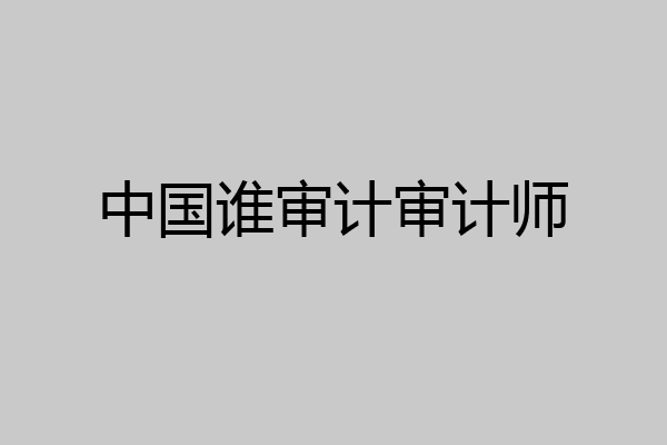 中国谁审计审计师
