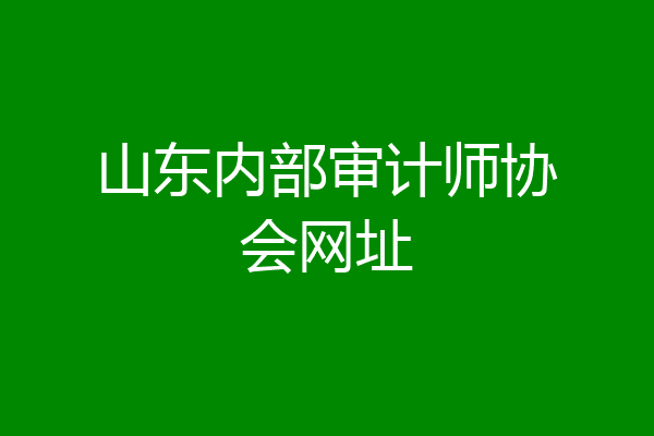 山东内部审计师协会网址
