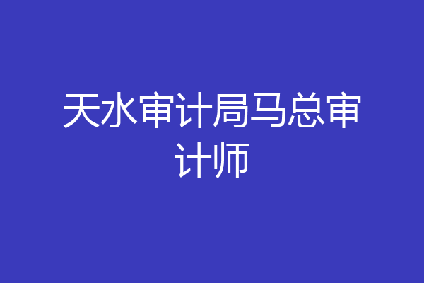 天水审计局马总审计师