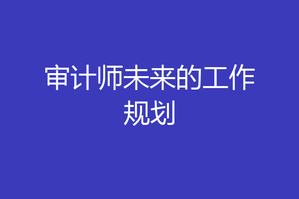 审计师未来的工作规划