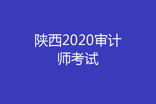 陕西2020审计师考试