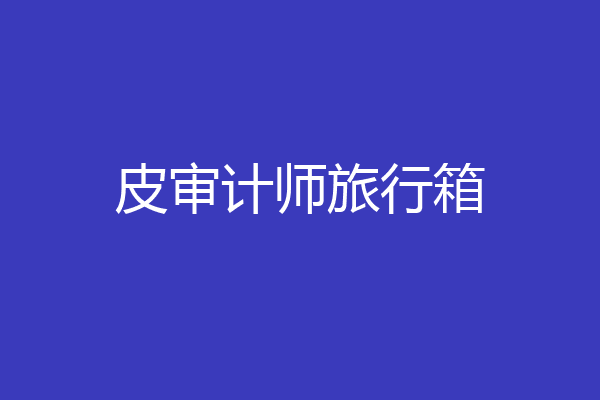 皮审计师旅行箱