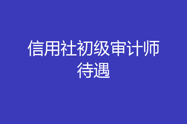 信用社初级审计师待遇