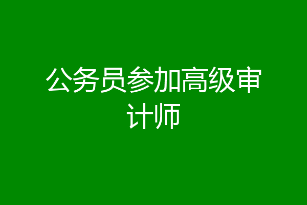 公务员参加高级审计师
