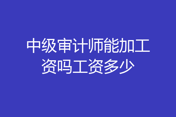 中级审计师能加工资吗工资多少
