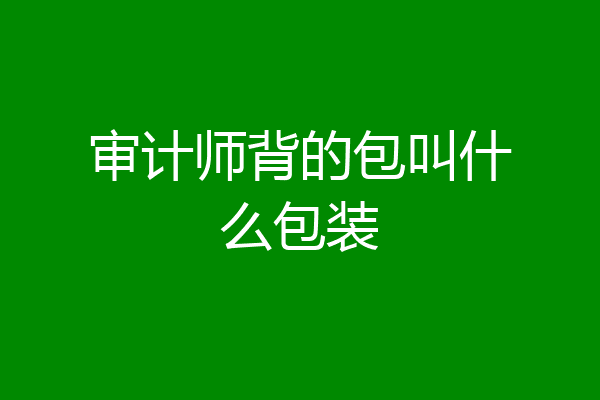 审计师背的包叫什么包装