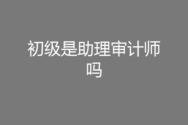 初级是助理审计师吗