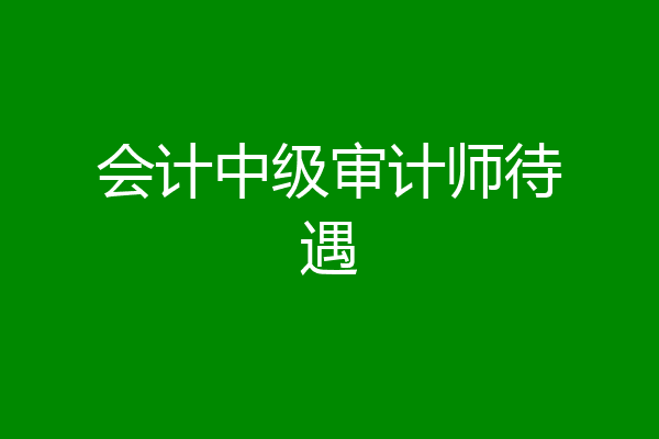 会计中级审计师待遇