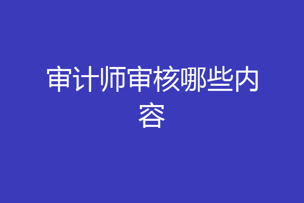 审计师审核哪些内容