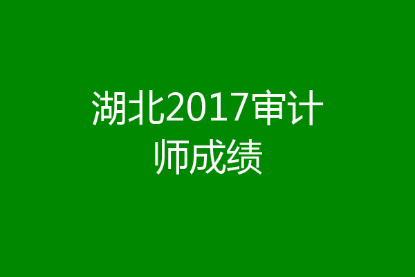 湖北2017审计师成绩