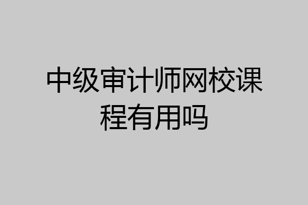 中级审计师网校课程有用吗
