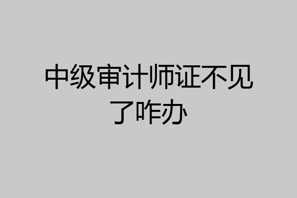 中级审计师证不见了咋办