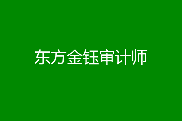 东方金钰审计师