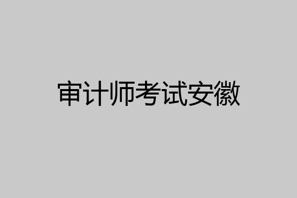 审计师考试安徽