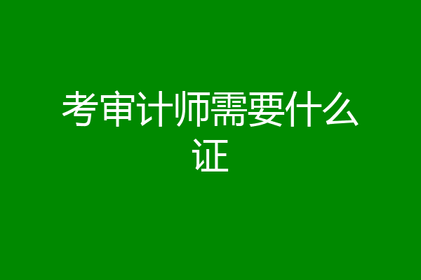 考审计师需要什么证