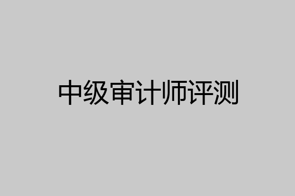 中级审计师评测