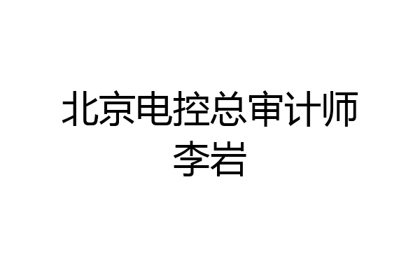 北京电控总审计师李岩