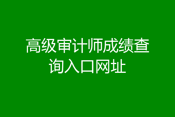高级审计师成绩查询入口网址
