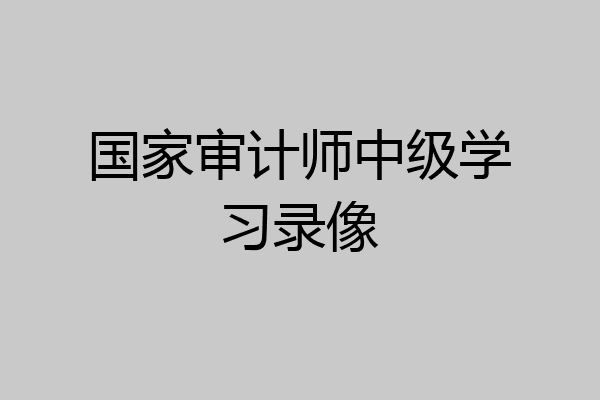 国家审计师中级学习录像
