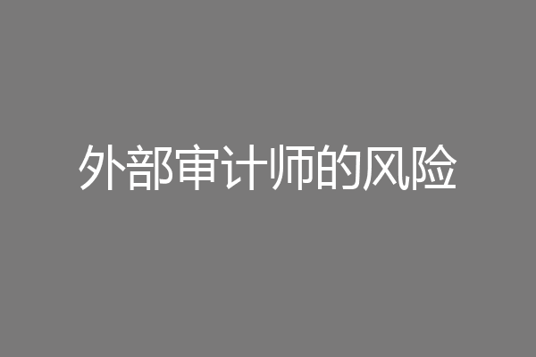 外部审计师的风险
