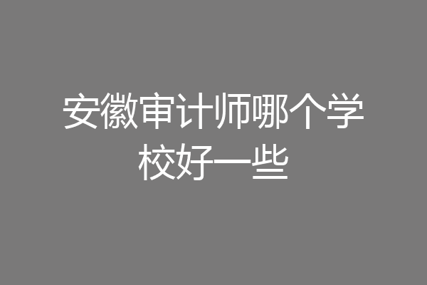 安徽审计师哪个学校好一些