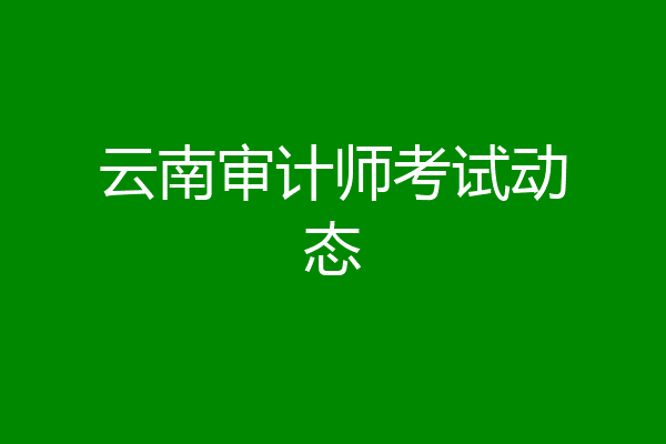 云南审计师考试动态