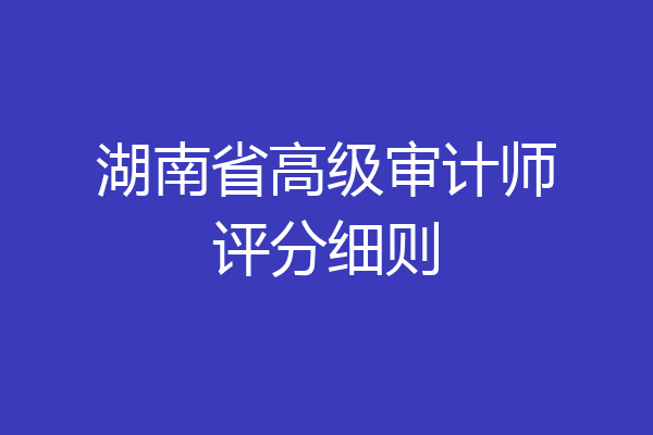 湖南省高级审计师评分细则