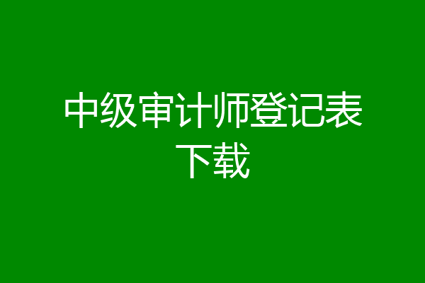 中级审计师登记表下载