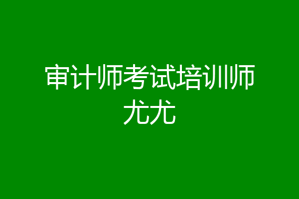 审计师考试培训师尤尤