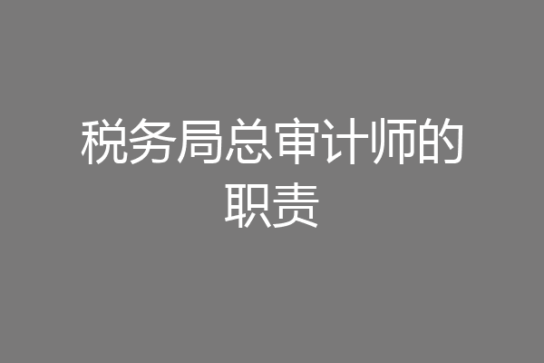 税务局总审计师的职责