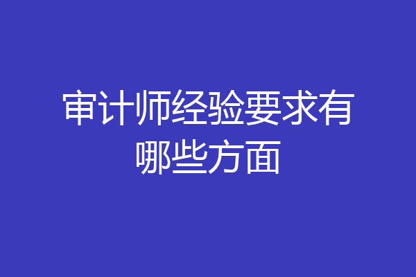 审计师经验要求有哪些方面