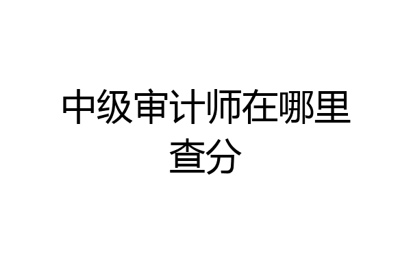 中级审计师在哪里查分