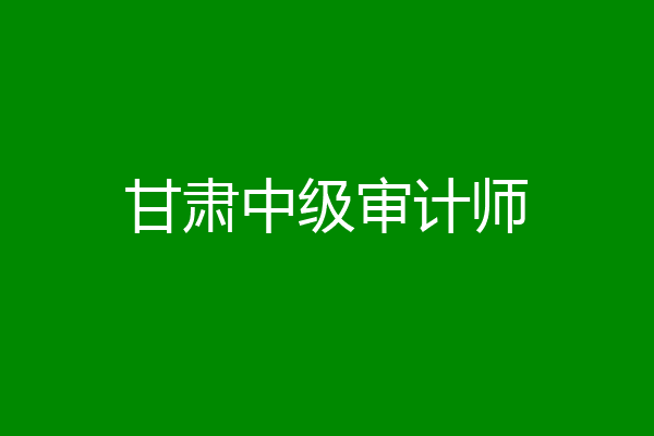 甘肃中级审计师