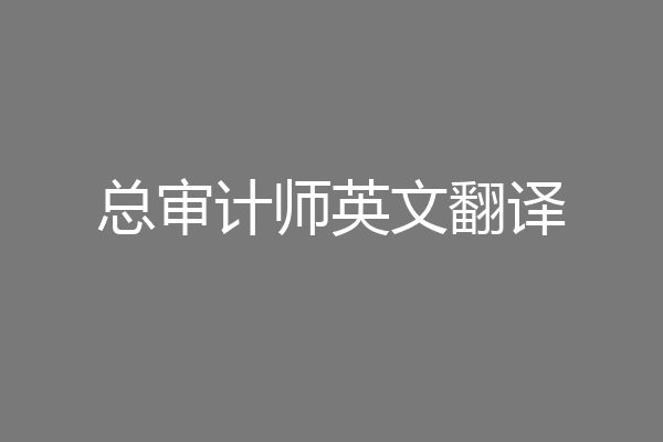 总审计师英文翻译