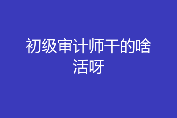 初级审计师干的啥活呀