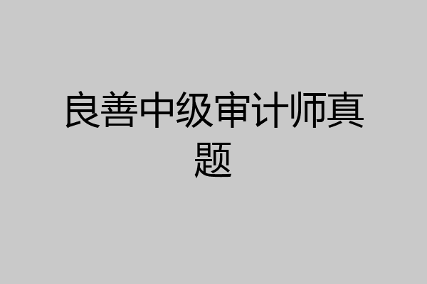 良善中级审计师真题