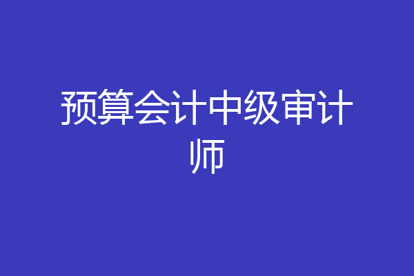 预算会计中级审计师