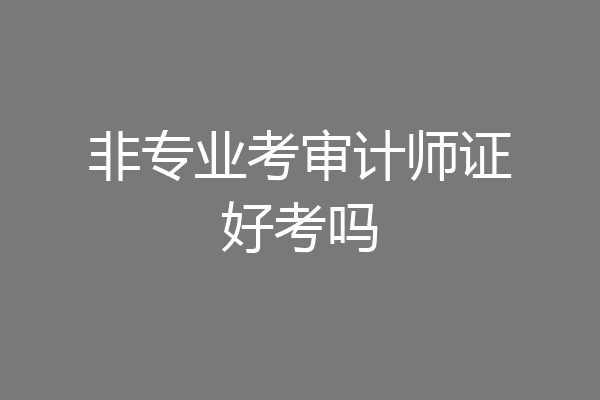 非专业考审计师证好考吗