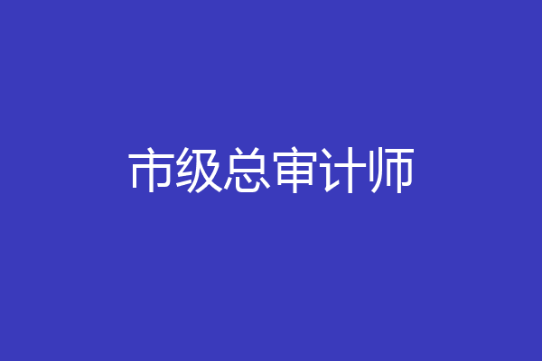 市级总审计师