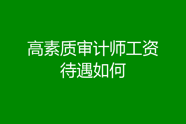 高素质审计师工资待遇如何