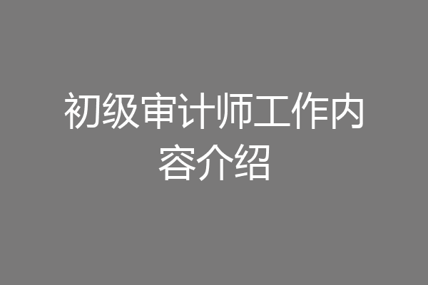 初级审计师工作内容介绍